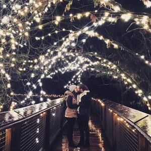 Meet your Posher, Violet